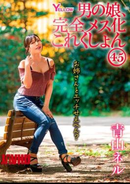 English Sub HERY-154 Boy's Daughter, Complete Feminization Collection 45 Aoyama Neru [JAV]