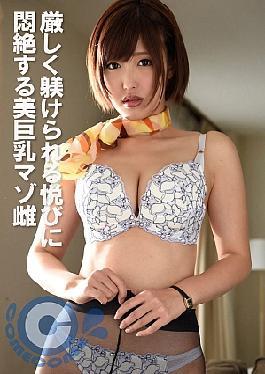 English sub PYU-446 Beautiful Busty Masochist Woman Faints In Pleasure At Being Disciplined Rigorously [JAV]